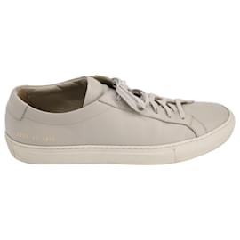 Autre Marque-Common Projects 'Original Achilles' Sneakers in Gray Leather-Grey