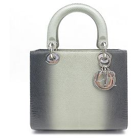 CHRISTIAN DIOR LADY M HANDTASCHE GRAU GRÜN DEGRADE EIDECHSENLEDER HANDTASCHE Andere
