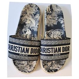 Christian Dior-Mules-Multiple colors