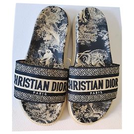Christian Dior Mules Multicolore