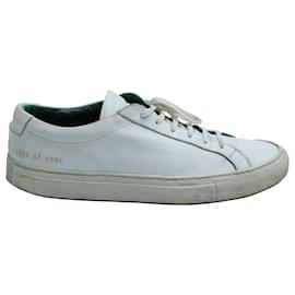 Autre Marque-Common Projects Achilles Low Top Sneakers in White Leather-White