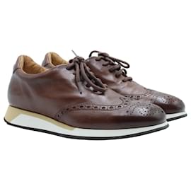 Santoni-Santoni Low Top Brogues sneakers in Brown  leather-Brown