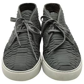 Lanvin-Lanvin Python Skin Sneakers in Grey Python Leather-Grey