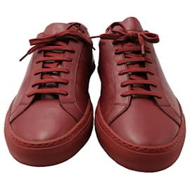 Autre Marque-Common Projects Original Achilles Low Top Sneakers in Burgundy Leather-Dark red