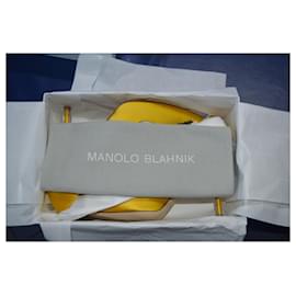 Manolo Blahnik-HANGISI NEW-Other