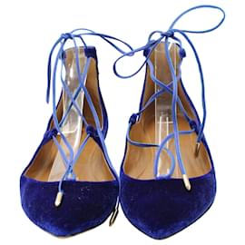 Aquazzura-Aquazzura Christy Lace Up Pointed Toe Flats in Blue Suede-Blue