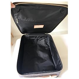 Louis Vuitton-Pegasus monogram-Brown