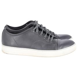 Lanvin-Lanvin Lace Up Sneakers in Grey Leather-Grey