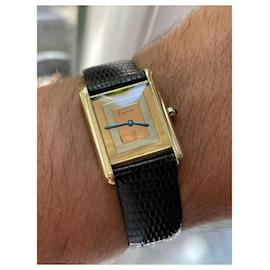 Cartier-Cartier Tank Must-Multicolore