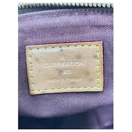 Louis Vuitton-Bolso bandolera Nano Turenne-Castaño
