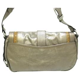Dior-Dior Gaucho-Silvery