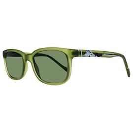 Swarovski-Swarovski-Khaki