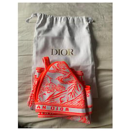 Dior-Swimwear-Orange