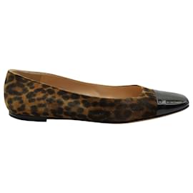 Gianvito Rossi-Gianvito Rossi Leopard-Print Cap Toe Ballet Flats in Animal Print Suede-Other