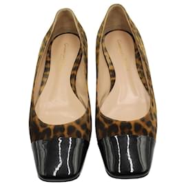 Gianvito Rossi-Gianvito Rossi Leopard-Print Cap Toe Ballet Flats in Animal Print Suede-Other
