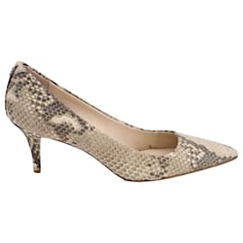 Coach-Coach Pumps in Snake Print Leather-Other