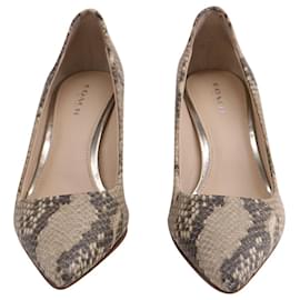 Coach-Coach Pumps in Snake Print Leather-Other