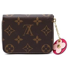 Louis Vuitton-Accessoires Louis Vuitton-Marron