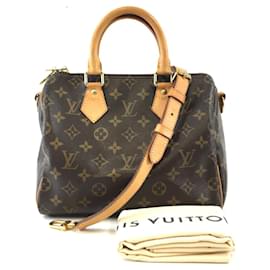 Louis Vuitton-Louis Vuitton Speedy 30 Sacs-Marron