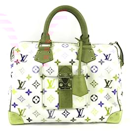 Louis Vuitton-Louis Vuitton Speedy 25 Sacs-Multicolore