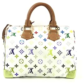Louis Vuitton-Louis Vuitton Speedy 25 Sacs-Multicolore