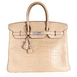 Hermès Hermes Poussiere Matt Alligator Birkin 35 PHW Fleisch