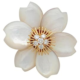 Autre Marque-Van Cleef & Arpels "Christmas Rose" brooch in yellow gold, diamonds and mother of pearl.-Other