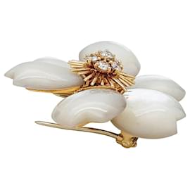 Autre Marque-Van Cleef & Arpels "Christmas Rose" brooch in yellow gold, diamonds and mother of pearl.-Other