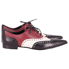 Gucci-Gucci Pointed Brogues in Multicolor Leather-Other,Python print