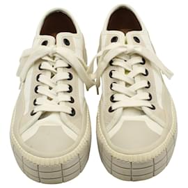 Chloé-Chloe Clint Low Top Sneaker in Cream Polyester-White,Cream