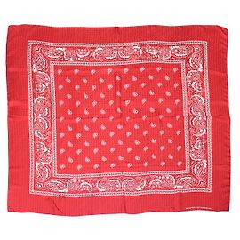 Balenciaga Scarves Red