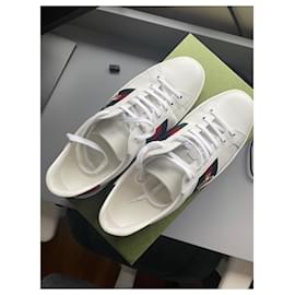 Gucci-Gucci sneakers Ace bee-White