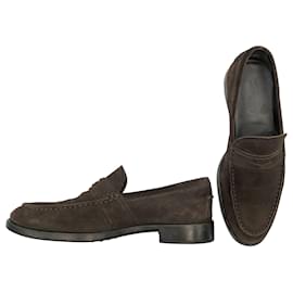 Tod's-Tod's loafers in brown suede -Brown