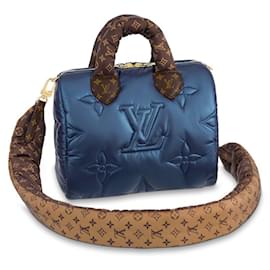 Louis Vuitton-LV speedy 25 Almohada-Azul