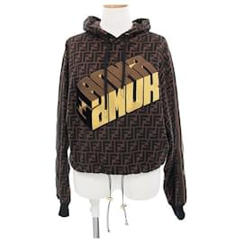 Fendi-Hoodie-Brown,Black