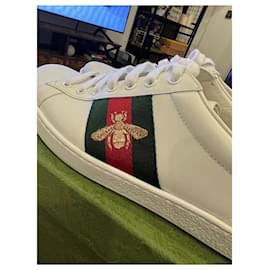Gucci-Gucci sneakers ace 2022-White,Red,Green