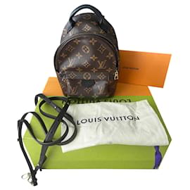 Louis Vuitton-Palm Springs Mini-Brown
