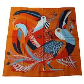 Hermès Tucani Multicolore