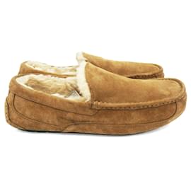 Ugg-UGG Ascot suede loafers in honey bronze size 44,5 eu-Brown,Bronze