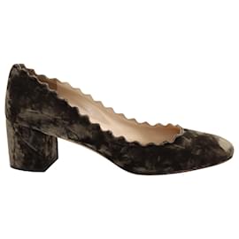 Chloé-Zapatos de salón festoneados en terciopelo marrón Chloé Lauren-Castaño