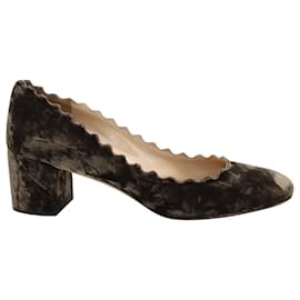 Chloé-Chloé Lauren Scalloped Pumps in Brown Velvet -Brown