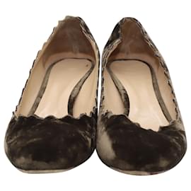 Chloé-Zapatos de salón festoneados en terciopelo marrón Chloé Lauren-Castaño