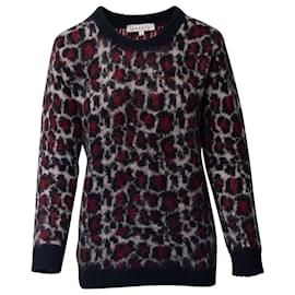 Sandro Paris Pull Imprimé Léopard en Acrylique Multicolore Autre Imprimé python