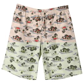 Bottega Veneta-Bottega Veneta Bermuda Shorts in Multicolor Cotton -Other,Python print
