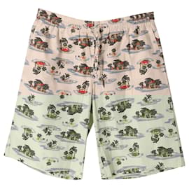 Bottega Veneta-Bottega Veneta Bermuda Shorts in Multicolor Cotton -Other,Python print