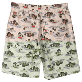 Bottega Veneta-Bottega Veneta Bermuda Shorts in Multicolor Cotton -Other,Python print