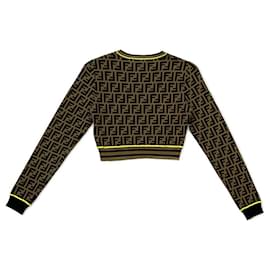 Fendi-FENDI Long Sleeve Tops-Brown