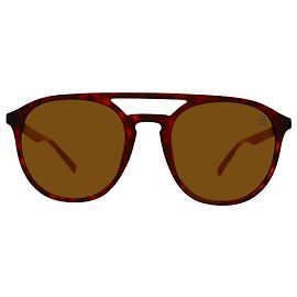 Timberland Brown