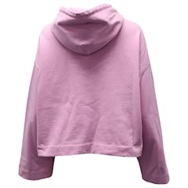 Acne-Acne Studios Hooded Sweater in Pink Cotton-Pink