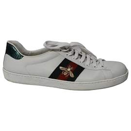 Gucci-Gucci Ace Sneakers in White Leather-White